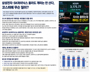 삼성전자.SK하이닉스 올라도 개미는 안산다?