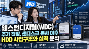 웨스턴디지털(WDC) 주가 전망, 샌디스크 분사 이후 HDD 사업구조와 실적 분석